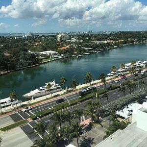 Meet your Posher, Lily